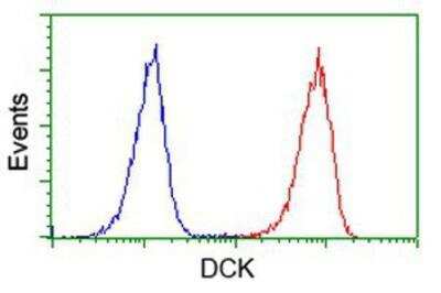 Flow Cytometry: DCK Antibody (OTI3F5) [NBP2-00590]