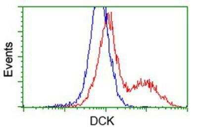 Flow Cytometry: DCK Antibody (OTI3F5) [NBP2-00590]