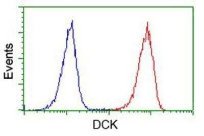 Flow Cytometry: DCK Antibody (OTI3F5) - Azide and BSA Free [NBP2-70555]