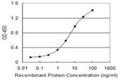 ELISA: DCLK1 Antibody (6H4) [H00009201-M03]