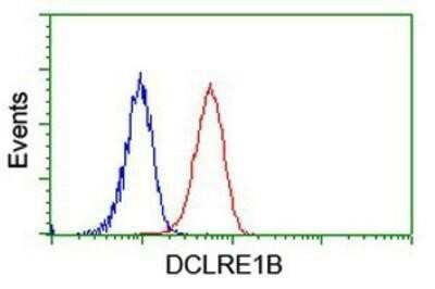Flow Cytometry: DCLRE1B Antibody (OTI2B7) - Azide and BSA Free [NBP2-72152]