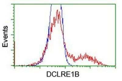 Flow Cytometry: DCLRE1B Antibody (OTI2B7) - Azide and BSA Free [NBP2-72152]