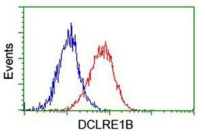 Flow Cytometry: DCLRE1B Antibody (OTI2B7) [NBP2-03563]