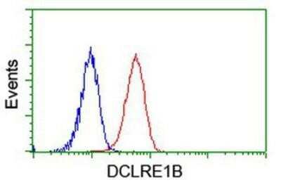 Flow Cytometry: DCLRE1B Antibody (OTI2B7) [NBP2-03563]