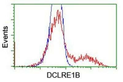 Flow Cytometry: DCLRE1B Antibody (OTI2B7) [NBP2-03563]