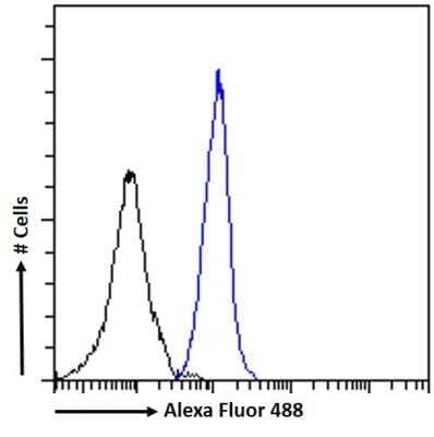 Flow Cytometry: DCTN3 Antibody [NBP1-52105]