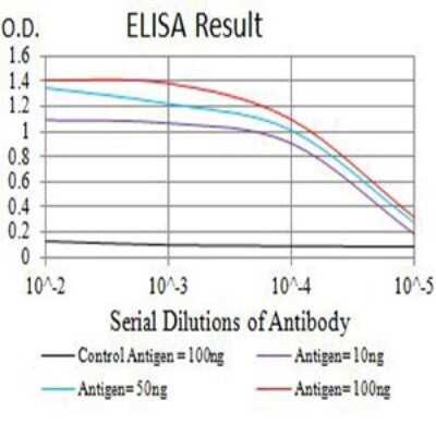 ELISA: DDR1 Antibody (4F2C12) - BSA Free [NBP2-61692]