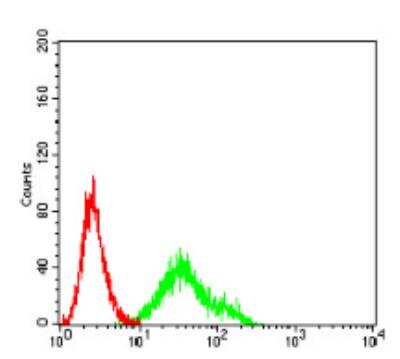 Flow Cytometry: DDR1 Antibody (4F2C12) - BSA Free [NBP2-61692]