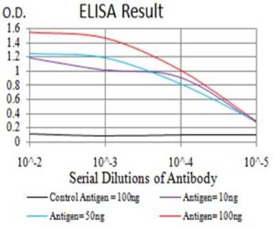 ELISA: DDX1 Antibody (3E5B2) - BSA Free [NBP2-61744]