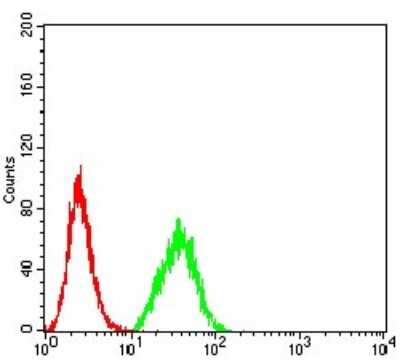 Flow Cytometry: DDX1 Antibody (3E5B2) - BSA Free [NBP2-61744]