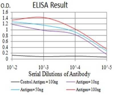 ELISA: DDX1 Antibody (3E5E2) - BSA Free [NBP2-61745]