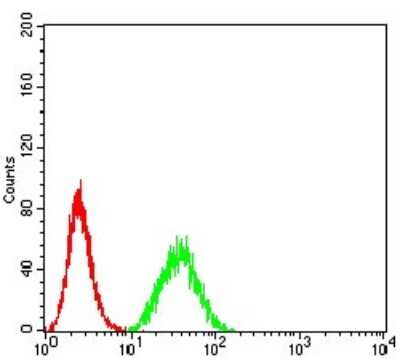 Flow Cytometry: DDX1 Antibody (3E5E2) - BSA Free [NBP2-61745]