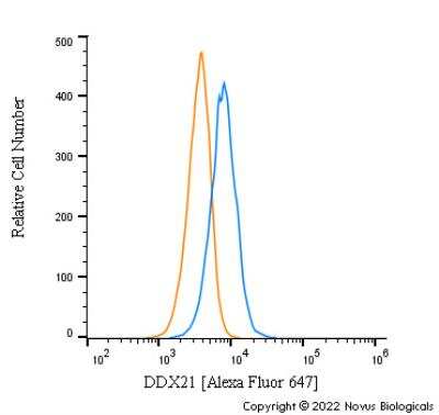 Flow Cytometry: DDX21 Antibody - BSA Free [NB100-1718]