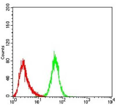 Flow Cytometry: DDX3 Antibody (3B9E3) - BSA Free [NBP2-52457]