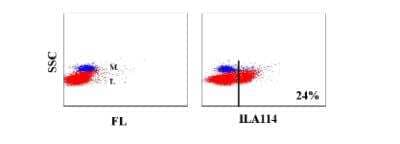 Flow Cytometry: DEC-205/CD205 Antibody (ILA114A) [NBP2-60973]