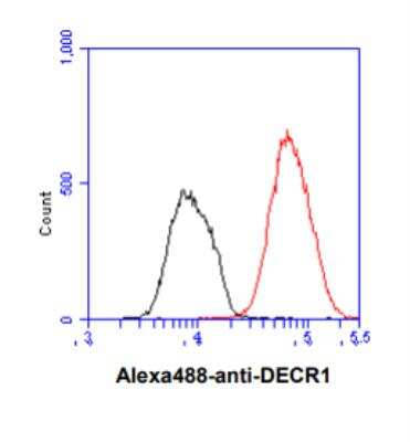 Flow Cytometry: DECR1 Antibody (3B2) - BSA Free [NBP2-59469]
