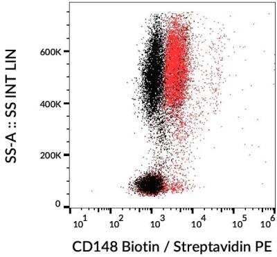 Flow Cytometry: DEP-1/CD148 Antibody (MEM-CD148/05) - BSA Free [NBP2-21790]