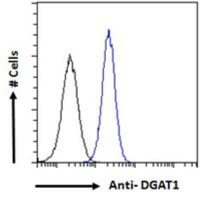 Flow Cytometry: DGAT1 Antibody [NB100-57086]