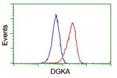 Flow Cytometry: DGK-alpha Antibody (OTI4A11) [NBP2-01597]