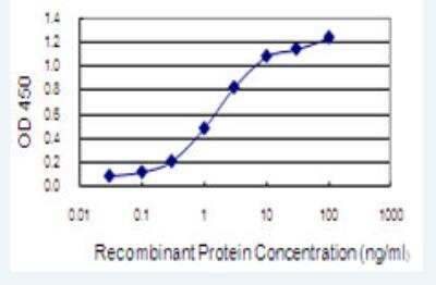 ELISA: DHX38 Antibody (3B9) [H00009785-M02-100ug]