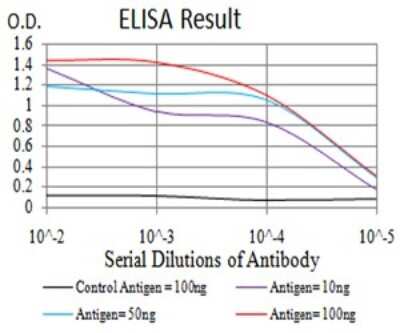 ELISA: DHX58 Antibody (3E11F1) - BSA Free [NBP2-61750]
