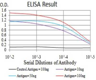 ELISA: DHX58 Antibody (6A6A3) - BSA Free [NBP2-61751]