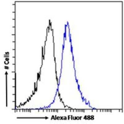 Flow Cytometry: DISP1 Antibody [NB100-1408]