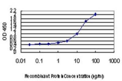 ELISA: DLX2 Antibody (2B12) [H00001746-M04]