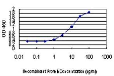 ELISA: DLX2 Antibody (2C8) [H00001746-M06]