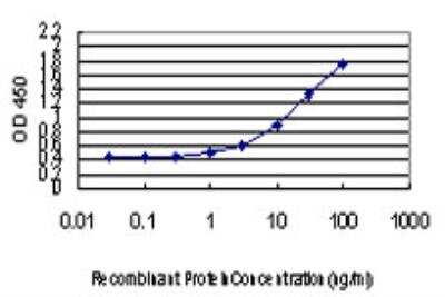 ELISA: DLX2 Antibody (2E12) [H00001746-M05]
