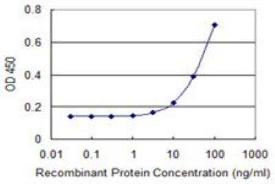 ELISA: DLX3 Antibody (3F7) [H00001747-M09]