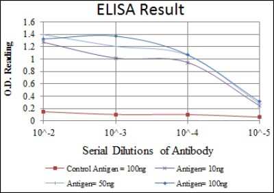 ELISA: DNA-PKcs Antibody (3H6) - BSA Free [NBP2-22128]