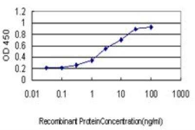 ELISA: DNA polymerase sigma Antibody (2F8) [H00011044-M01]