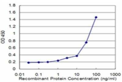 ELISA: DNA polymerase theta Antibody (1C11) [H00010721-M09]
