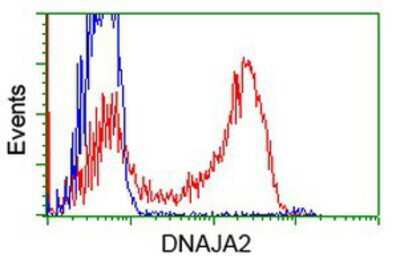 Flow Cytometry: DNAJA2 Antibody (OTI3A10) [NBP2-02996]