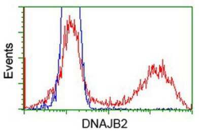 Flow Cytometry: DNAJB2 Antibody (OTI4D12) [NBP2-00638]