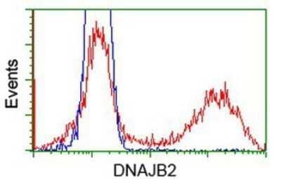 Flow Cytometry: DNAJB2 Antibody (OTI4D12) - Azide and BSA Free [NBP2-70951]