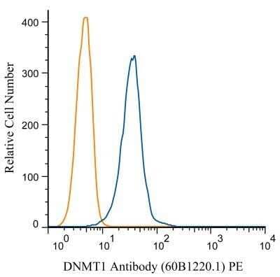Flow Cytometry: DNMT1 Antibody (60B1220.1) - BSA Free [NB100-56519]