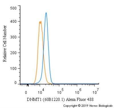 Flow Cytometry: DNMT1 Antibody (60B1220.1) - BSA Free [NB100-56519]