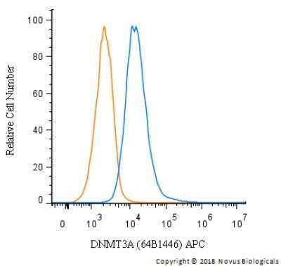 Flow Cytometry: DNMT3A Antibody (64B1446) - Azide and BSA Free [NBP2-80699]