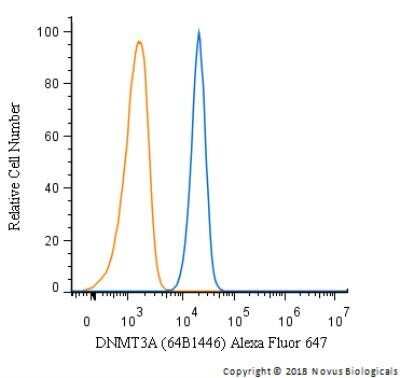 Flow Cytometry: DNMT3A Antibody (64B1446) - Azide and BSA Free [NBP2-80699]