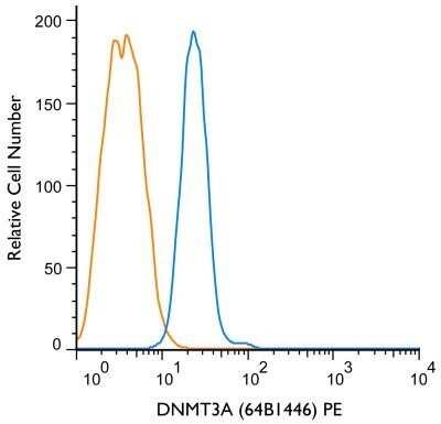 Flow Cytometry: DNMT3A Antibody (64B1446) - Azide and BSA Free [NBP2-80699]