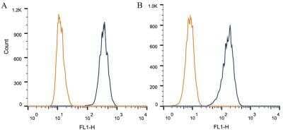 Flow Cytometry: DNMT3A Antibody (64B1446) - BSA Free [NB120-13888]