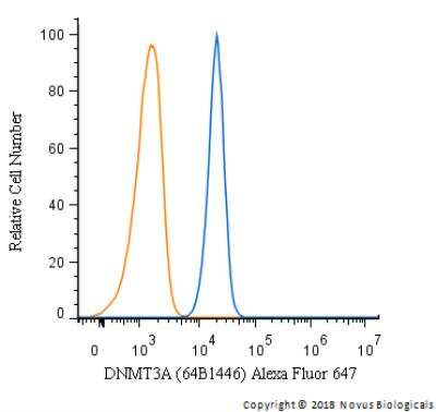 Flow Cytometry: DNMT3A Antibody (64B1446) - BSA Free [NB120-13888]