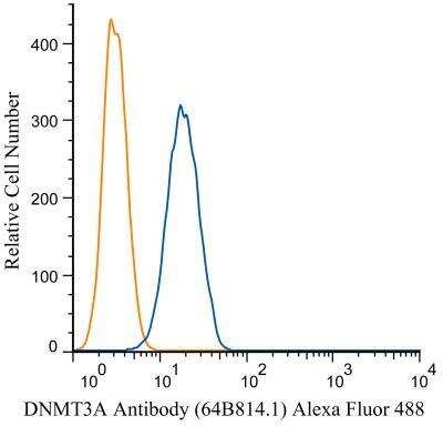 Flow (Intracellular): DNMT3A Antibody (64B814.1) [NB100-56521]