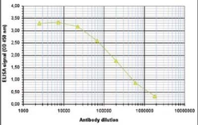 ELISA: DNMT3B Antibody [NBP2-59291]