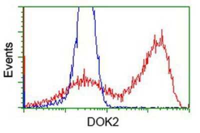 Flow Cytometry: DOK2 Antibody (OTI1A4) [NBP2-00948]
