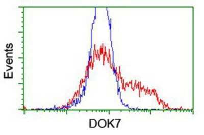 Flow Cytometry: DOK7 Antibody (OTI1A9) [NBP2-02073]