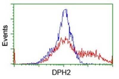 Flow Cytometry: DPH2 Antibody (OTI3A12) [NBP2-46475]