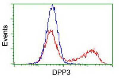 Flow Cytometry: DPP3 Antibody (OTI2D9) [NBP2-01007]